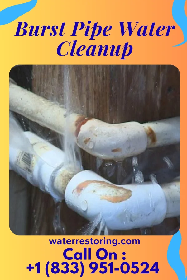 Burst Pipe Water Cleanup in Oval, PA