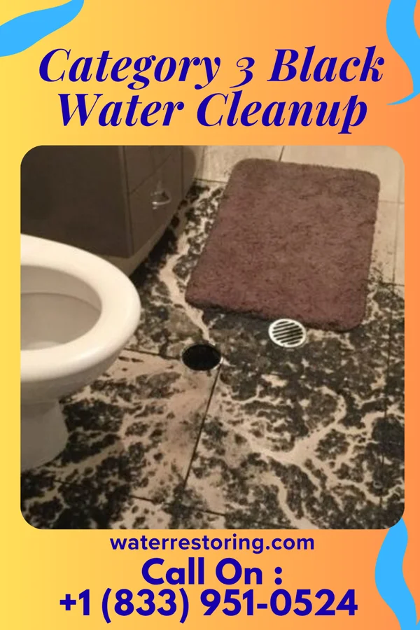 Category 3 Black Water Cleanup in Oval, PA