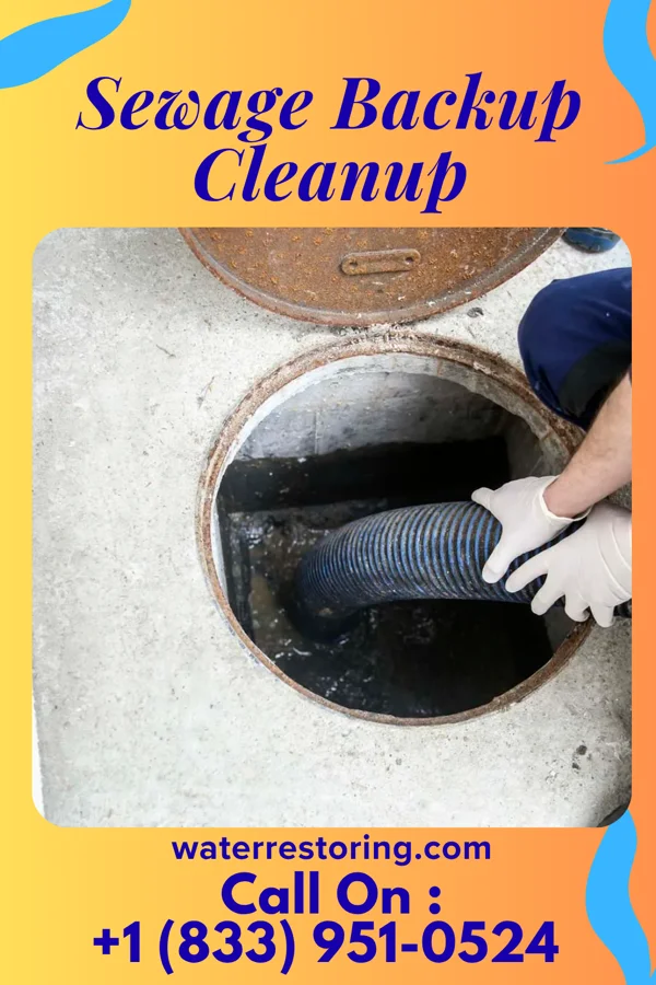 Sewage Backup Cleanup in Oval, PA