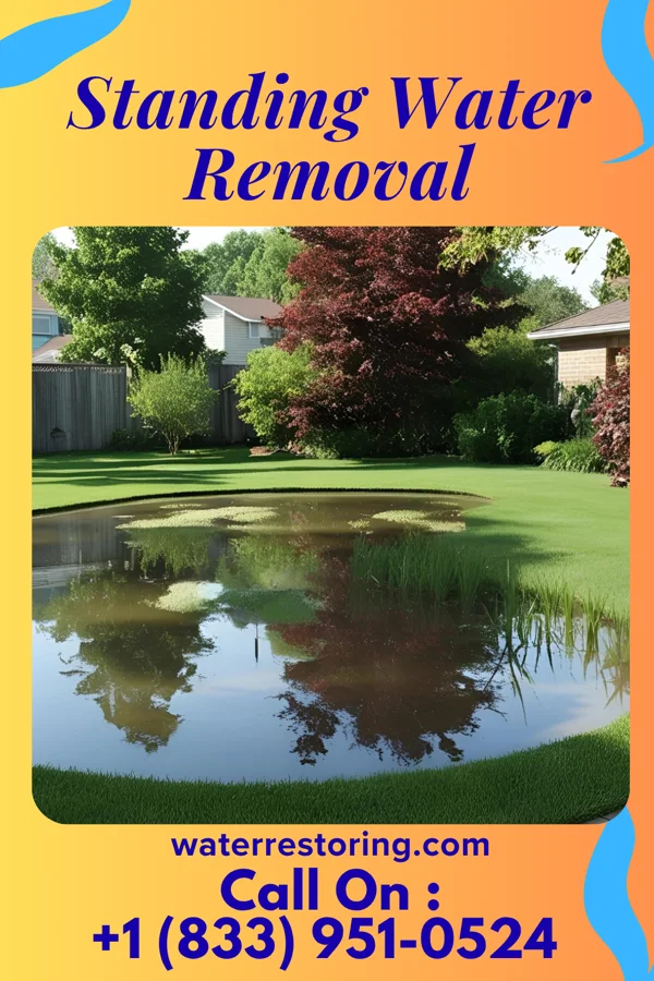 Standing Water Removal in Oval, PA